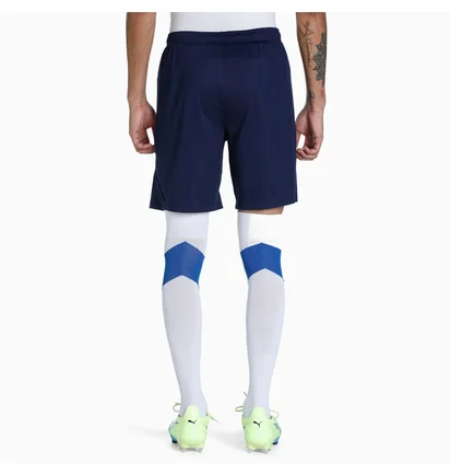 Шорты мужские Puma Teamliga Training Shorts Blue 657249-06