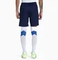 Шорты мужские Puma Teamliga Training Shorts Blue 657249-06