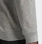 Свитшот мужской Adidas Essentials French Terry Big Logo Sweatshirt Grey GK9077