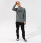 Свитшот мужской Puma Ess Big Logo Crew Fl - Medium Gray Heather Grey 58667803