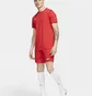 Шорты мужские Nike Dri-Fit Park Iii Knit Red BV6855-657
