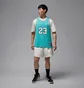 Майка чоловіча Air Jordan Essentials Summer Jersey Turquoise HF9375-392