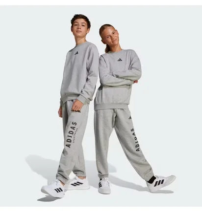 Свитшот детский Adidas All Szn Graphic Grey JC7642