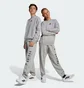 Свитшот детский Adidas All Szn Graphic Grey JC7642