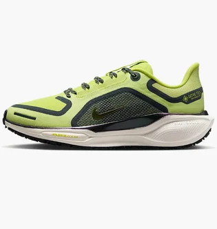 Кросівки жіночі Nike Pegasus 41 Gore Tex Green FQ1357-300
