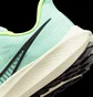 Кроссовки мужские Nike Air Zoom Pegasus 39 Light Blue Dh4071-301
