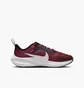 Кросівки дитячі Nike Air Zoom Pegasus 40 Gs Bordo DX2498-009