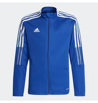 Олімпійка дитяча Adidas Tiro 21 Track Jacket Blue Gm7315