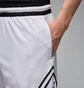 Шорты мужские Air Jordan Dri-Fit Diamond White HF9910-100