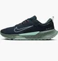 Кросівки чоловічі Nike Juniper Trail 2 Gtx V2 Blue HM9734-302