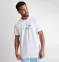 Футболка чоловіча Air Jordan Metallic Spring Graphic T-Shirt White Dv8418-100