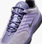 Кроссовки мужские Nike Sb Vertebrae Violet FD4691-501