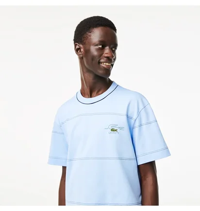 Футболка мужская Lacoste Striped Organic Cotton Jersey T-Shirt Light Blue TH5364-51-HBP
