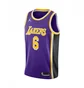 Майка мужская Air Jordan Nba Los Angeles Lakers Swingman Jersey Statement Edition Lebron James Violet CV9481-513
