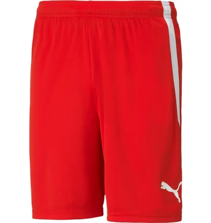 Шорты мужские Puma Teamliga Shorts Red 704924-01