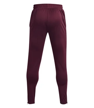Штани чоловічі Under Armour Terry Bordo 1366265-600