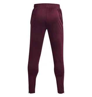 Штаны мужские Under Armour Terry Bordo 1366265-600