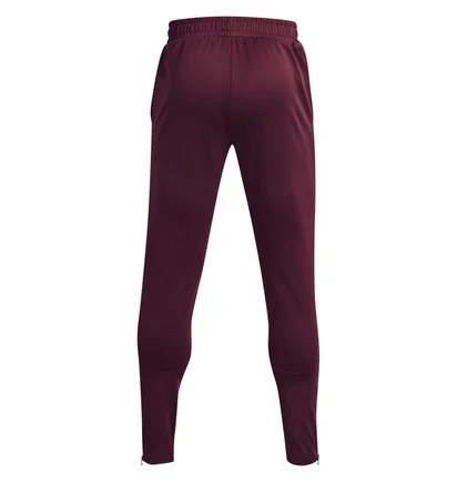 Штаны мужские Under Armour Terry Bordo 1366265-600