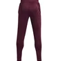Штаны мужские Under Armour Terry Bordo 1366265-600