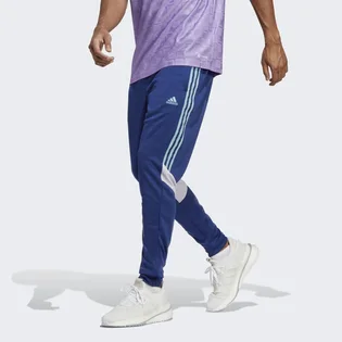 Штаны мужские Adidas Tiro Pants Blue Hs7489