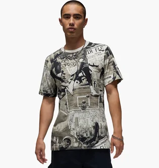 Футболка мужская Air Jordan T-Shirt Essentials Multi FZ1923-010