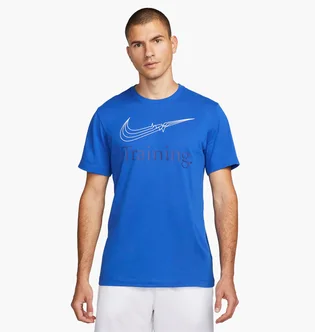 Футболка мужская Nike T-Shirt Dri-Fit Blue FJ2477-480