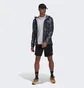 Шорты мужские Adidas Designed 4 Running Shorts Black H58578