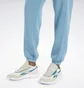 Штани чоловічі Reebok Classics Natural Dye Light Blue Hs9154