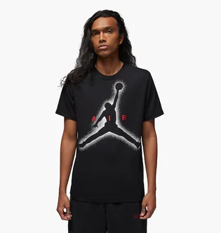 Футболка чоловіча Air Jordan Essentials Black Dv8420-010