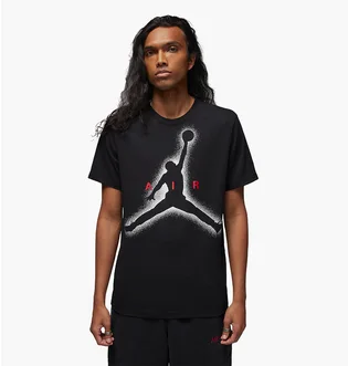 Футболка мужская Air Jordan Essentials Black Dv8420-010