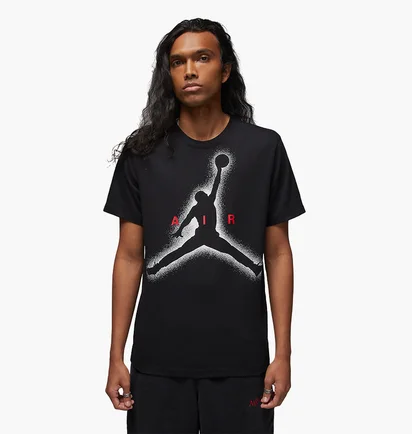 Футболка мужская Air Jordan Essentials Black Dv8420-010