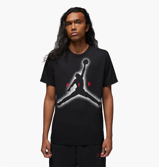 Футболка мужская Air Jordan Essentials Black Dv8420-010