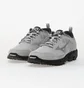 Кроссовки мужские Mizuno Wave Daichi Ls Metallic/Grey D1GA260102