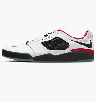 Кросівки унісекс Nike Sb Ishod Wair Premium Skate Shoes White DZ5648-100