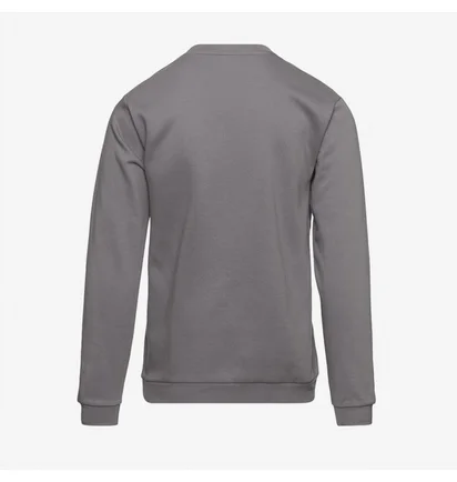 Світшот чоловічий Adidas Entrada 22 Sweat Top Grey H57479