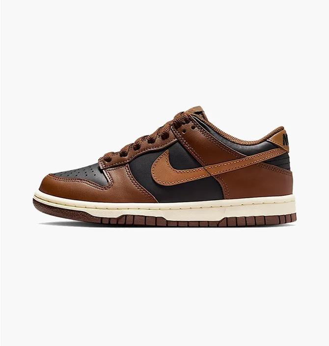 Кроссовки детские Nike Dunk Low Big Kids Shoes Brown FB9109-006