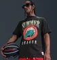 Футболка чоловіча Nike M90 Oc Black HJ3434-010