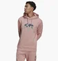 Худи мужское Adidas Graphics United Hoodie Beige Hf4903