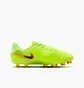 Бутси дитячі Nike Legend 10 Academy Fg/Mg Green DV4348-701