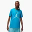 Футболка мужская Air Jordan Essential Crewneck Tee 3 Light Blue DX9581-483