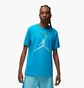 Футболка мужская Air Jordan Essential Crewneck Tee 3 Light Blue DX9581-483