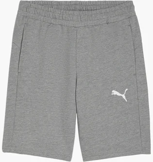Шорти чоловічі Puma Teamgoal Casuals Shorts Grey 658608-33
