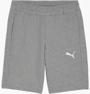 Шорты мужские Puma Teamgoal Casuals Shorts Grey 658608-33