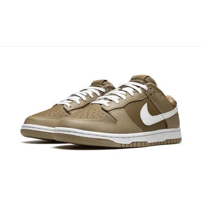 Кроссовки мужские Nike Dunk Low Retro Brown DJ6188-200