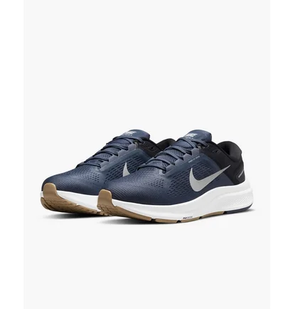 Кросівки чоловічі Nike Air Zoom Structure 24 Blue DA8535-400