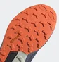 Кроссовки мужские Adidas Terrex Trailrider Blue GW5535