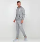 Штаны мужские Puma Athletics Pants Fleece Grey 580162-03
