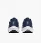 Кроссовки мужские Nike Pegasus 40 Blue DV3853-400