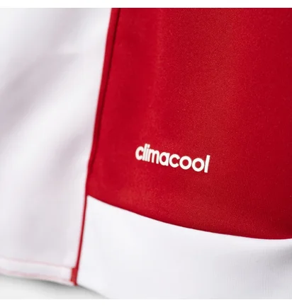 Футболка мужская Adidas Jersey Striped 15 Jsy White/Red S16137