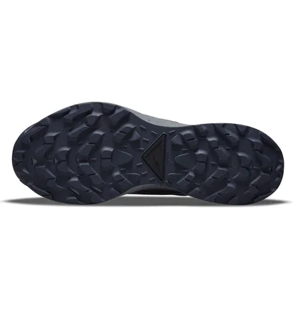 Кросівки чоловічі Nike Pegasus Trail 3 Grey Da8697-003